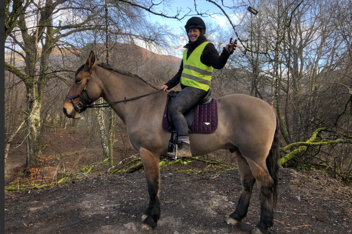 A woman with a litter picker on top of a horse