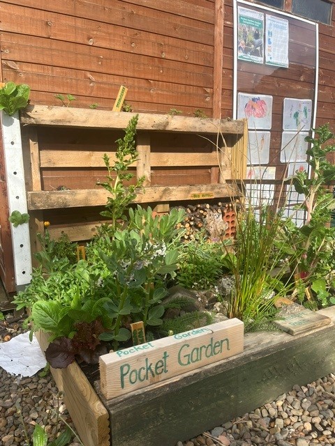 Arbor Green Children’s Nursery main image