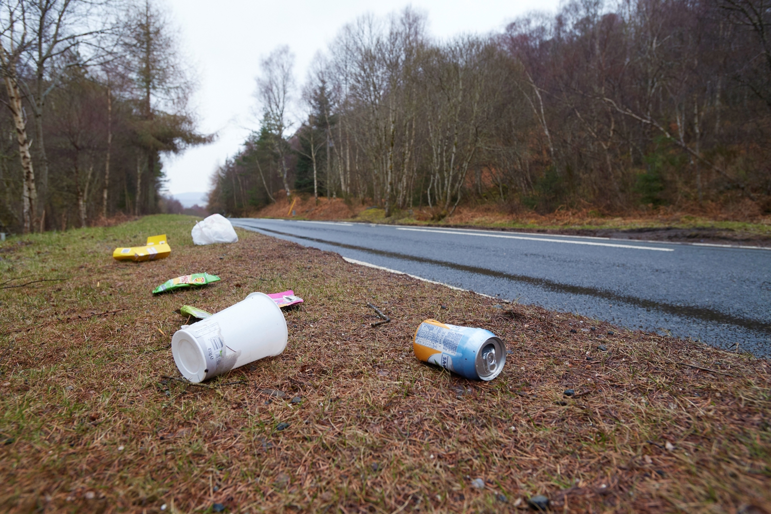 Litter on a roadside