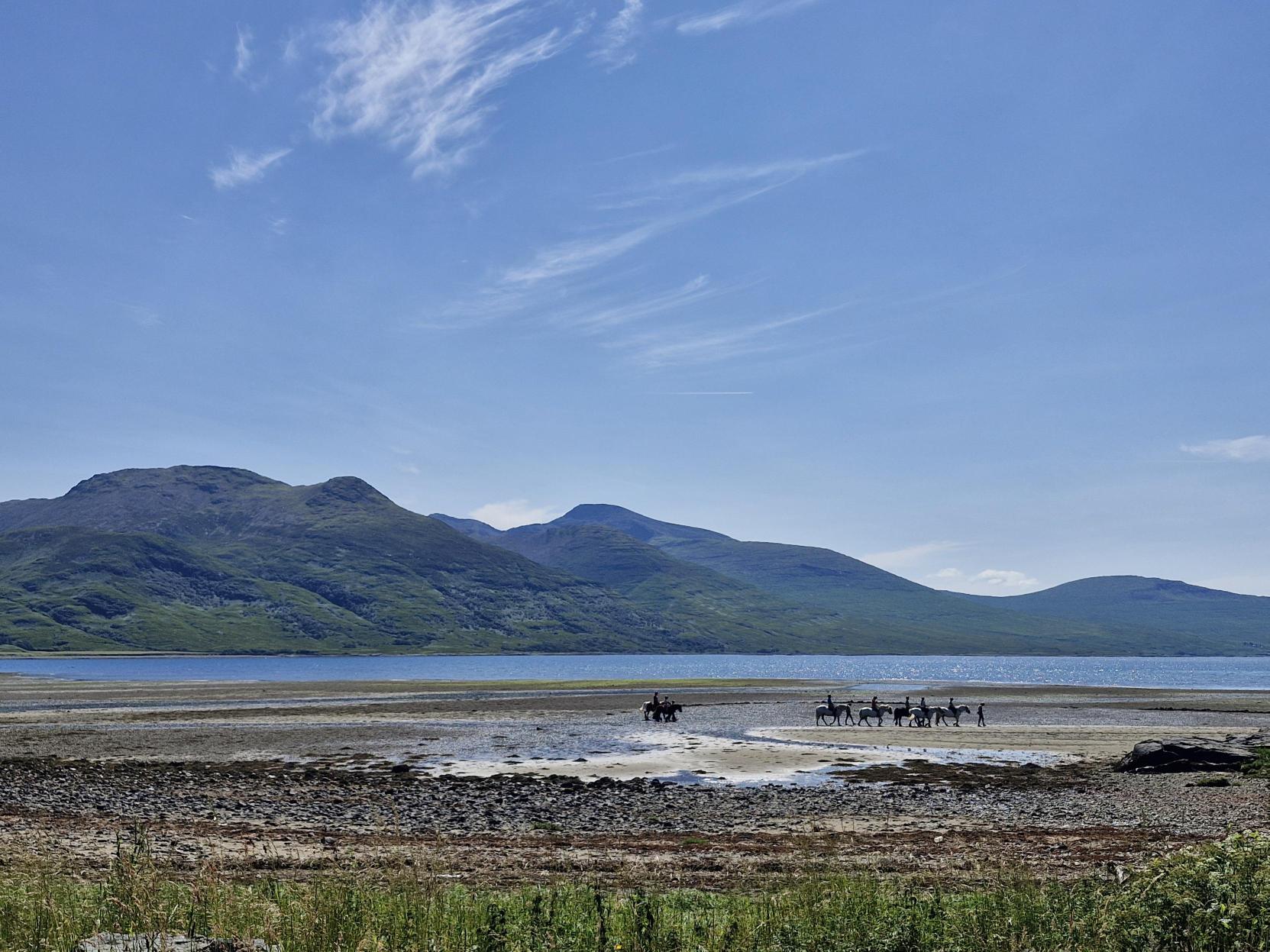 Mull