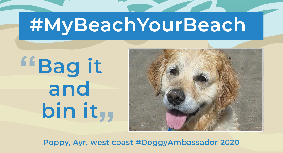 Doggy Ambassador Poppy