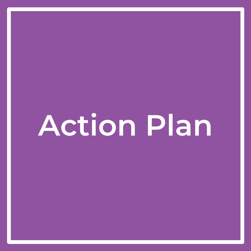 Action Plan