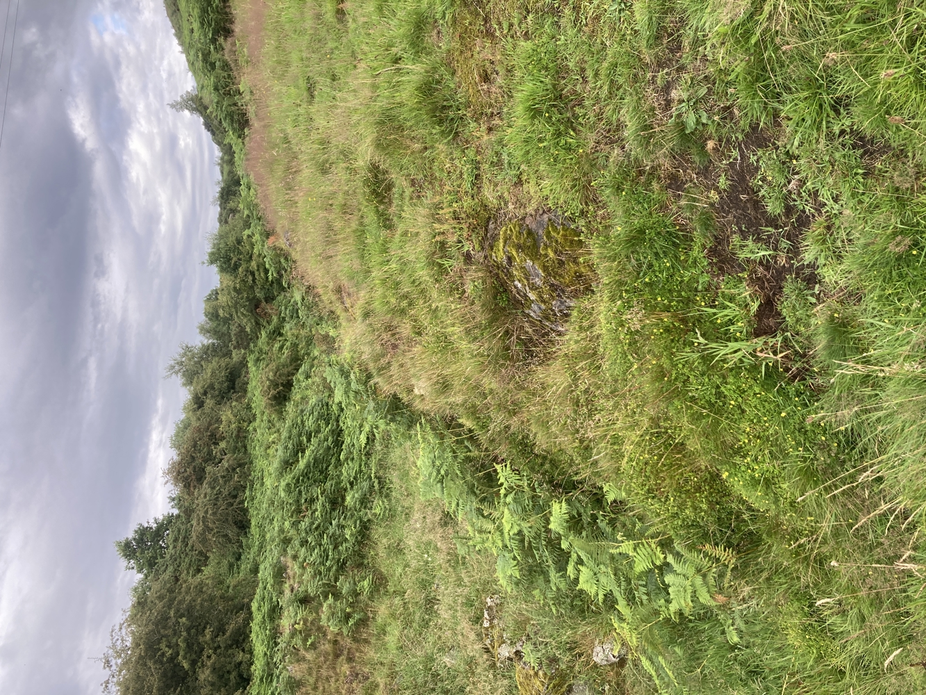 An image of Croy Hill