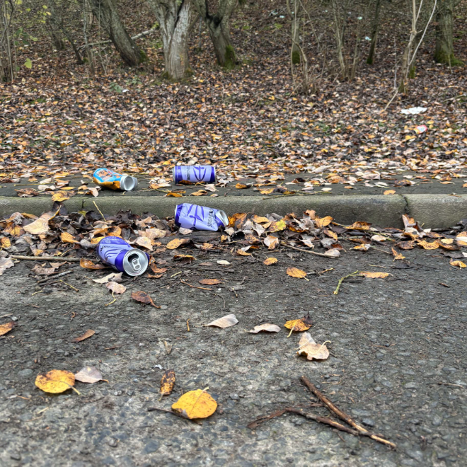 Roadside litter