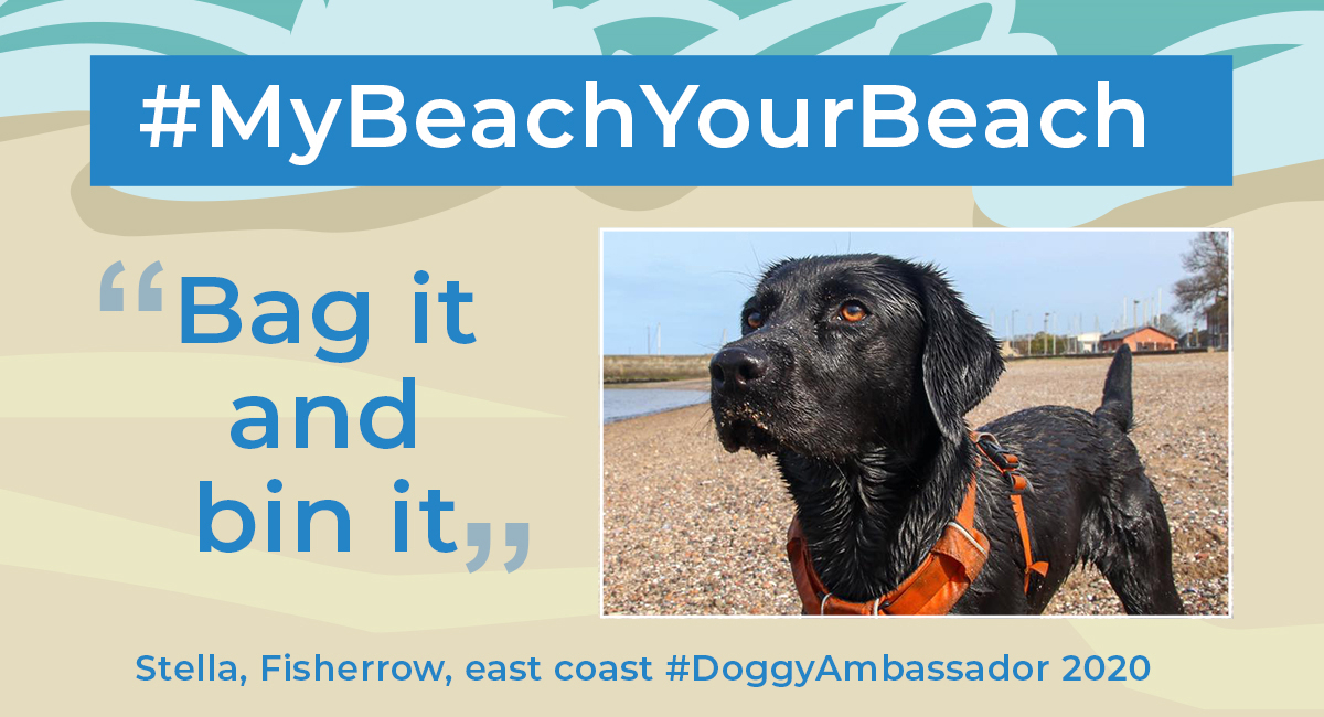 Doggy Ambassador Stella